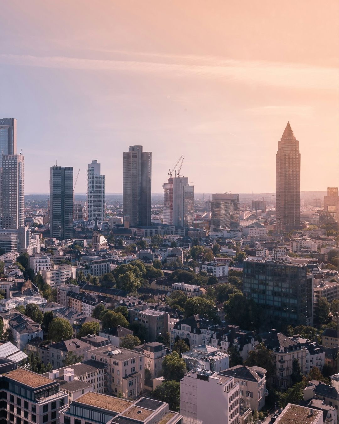 Frankfurter Skyline im goldenen Abendlicht